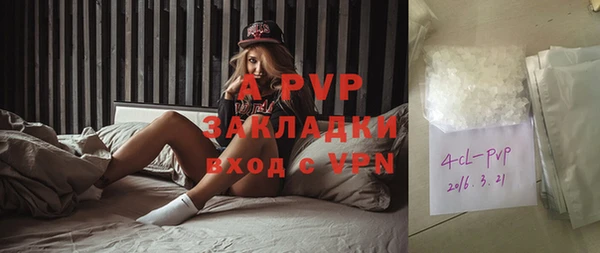 ГАЛЛЮЦИНОГЕННЫЕ ГРИБЫ Лагань
