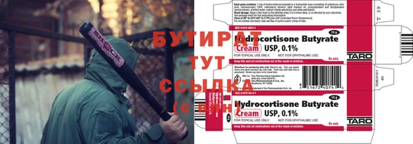 ГАЛЛЮЦИНОГЕННЫЕ ГРИБЫ Лагань