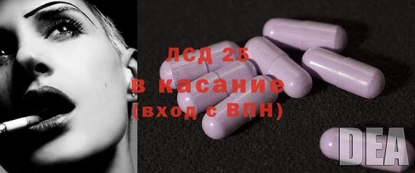 соль ск Кулебаки