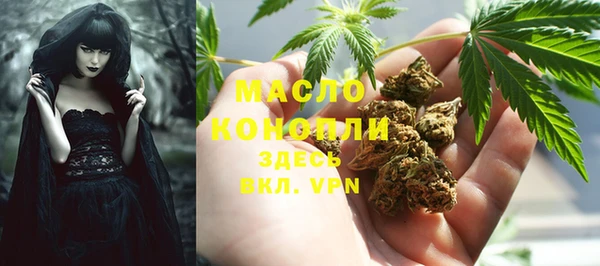 стаф Ладушкин
