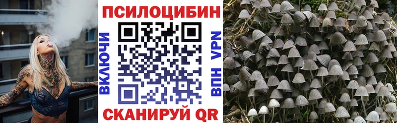 Купить  Барнаул  Галлюциногенные грибы Magic Shrooms 